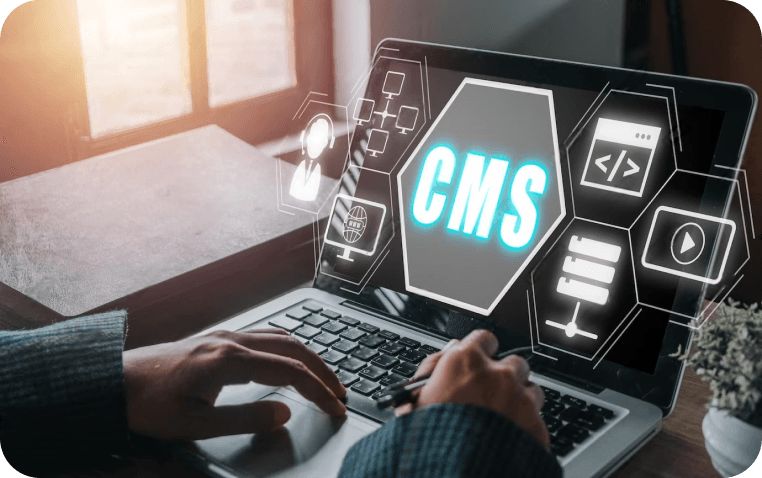 CMS Development